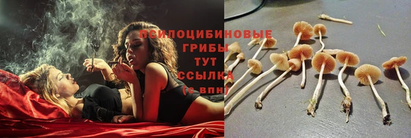 COCAINE Богородск