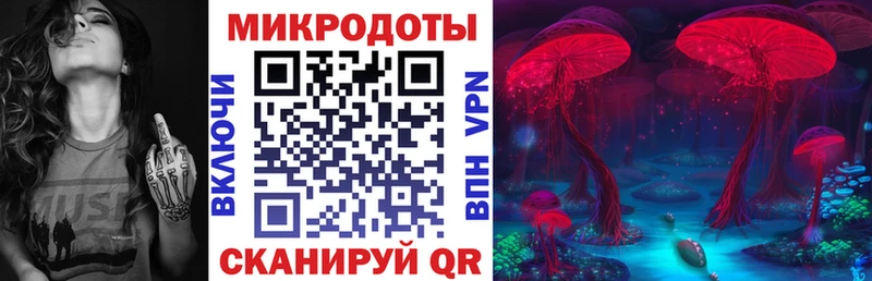 Псилоцибиновые грибы мицелий Мурманск