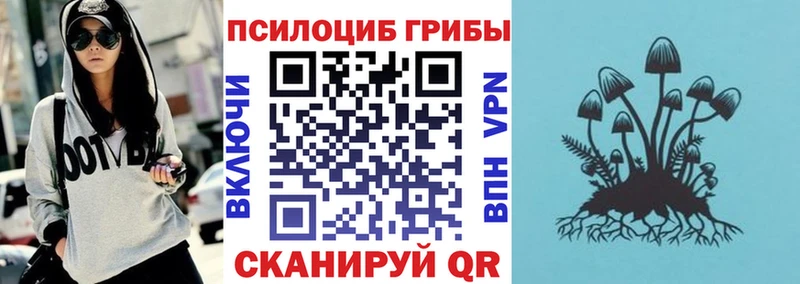 Псилоцибиновые грибы Psilocybe  Мурманск 